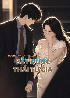 Bìa truyện Bắt Được Thái Tử Gia