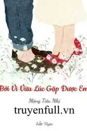 Bìa truyện Bởi Vì Đúng Lúc Gặp Được Em