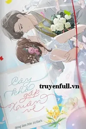 Bìa truyện Cây Khô Gặp Xuân Về