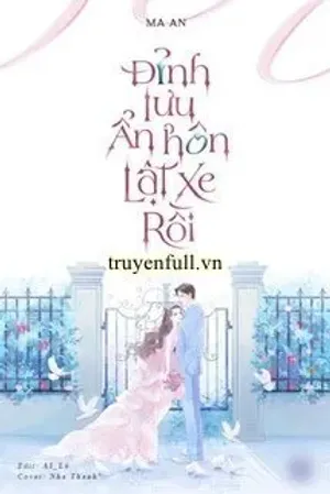 Bìa truyện Đỉnh Lưu Ẩn Hôn Lật Xe Rồi