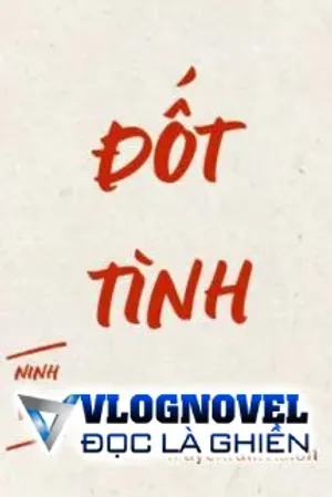 Bìa truyện Đốt Tình - Ninh Viễn