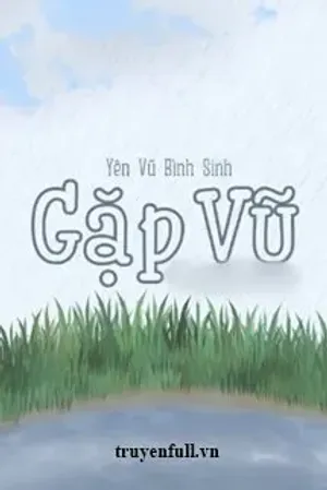 Bìa truyện Gặp Vũ