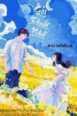 Bìa truyện Gói Thuốc Nhỏ