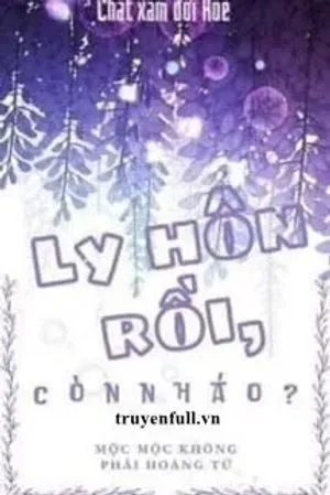 Bìa truyện Ly Hôn Rồi, Còn Nháo