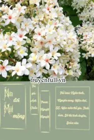 Bìa truyện Nửa Đời Một Mộng