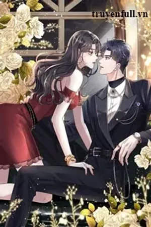 Bìa truyện Tôi Và Đỉnh Lưu Không Thể Nào