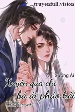Bìa truyện Xuyên Qua Chi Bá Ái Pháo Hôi